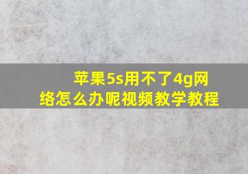 苹果5s用不了4g网络怎么办呢视频教学教程