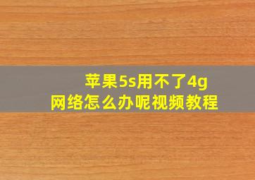 苹果5s用不了4g网络怎么办呢视频教程