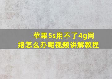 苹果5s用不了4g网络怎么办呢视频讲解教程