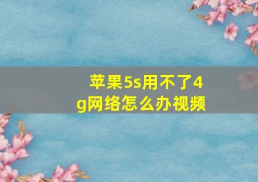 苹果5s用不了4g网络怎么办视频