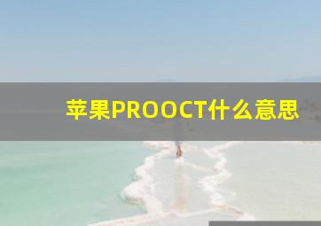 苹果PROOCT什么意思