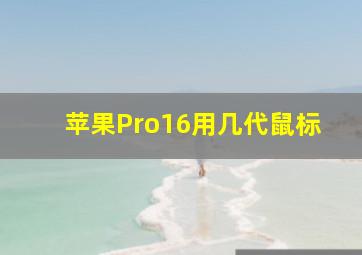 苹果Pro16用几代鼠标