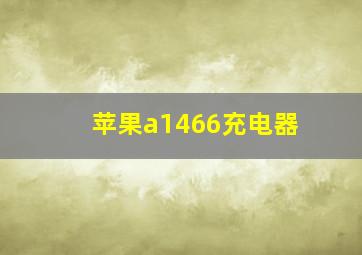 苹果a1466充电器