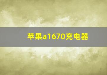 苹果a1670充电器