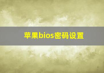 苹果bios密码设置