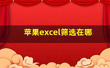 苹果excel筛选在哪