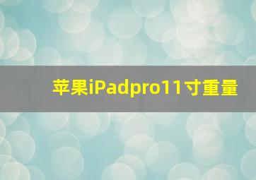 苹果iPadpro11寸重量