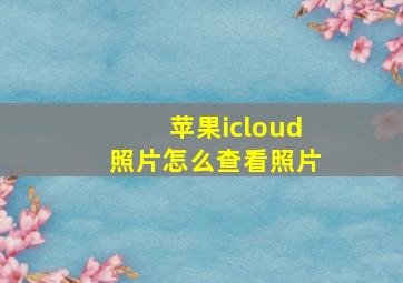 苹果icloud照片怎么查看照片