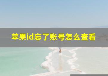 苹果id忘了账号怎么查看