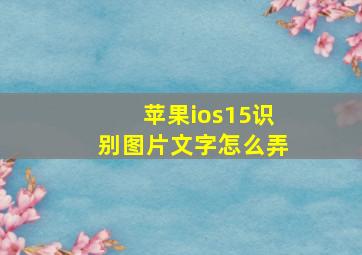 苹果ios15识别图片文字怎么弄