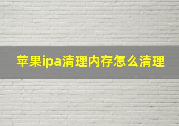 苹果ipa清理内存怎么清理