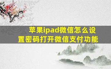 苹果ipad微信怎么设置密码打开微信支付功能