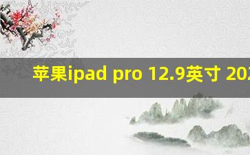 苹果ipad pro 12.9英寸 2021