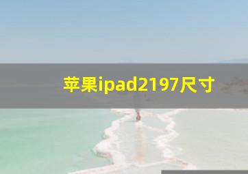 苹果ipad2197尺寸