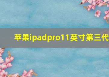 苹果ipadpro11英寸第三代