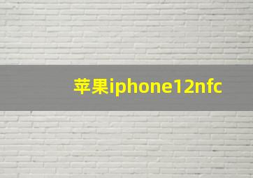 苹果iphone12nfc