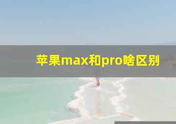 苹果max和pro啥区别