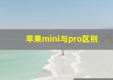 苹果mini与pro区别