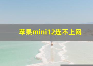 苹果mini12连不上网