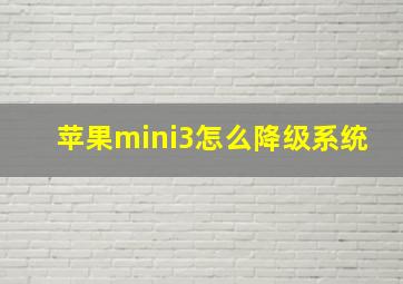 苹果mini3怎么降级系统