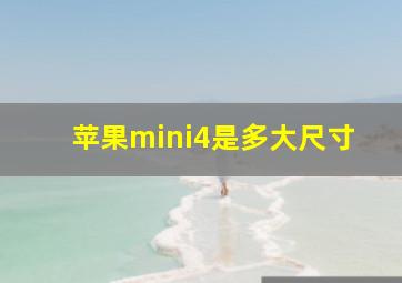 苹果mini4是多大尺寸