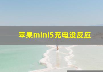 苹果mini5充电没反应