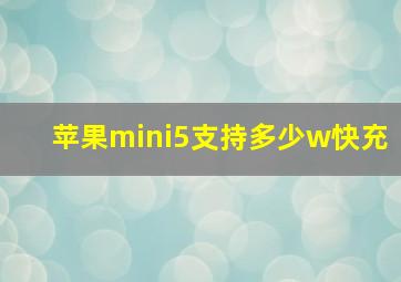 苹果mini5支持多少w快充