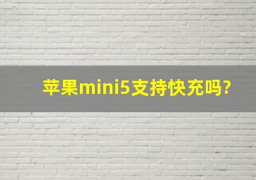 苹果mini5支持快充吗?