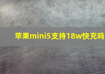 苹果mini5支持18w快充吗