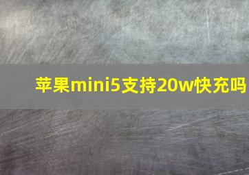 苹果mini5支持20w快充吗