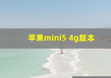 苹果mini5 4g版本