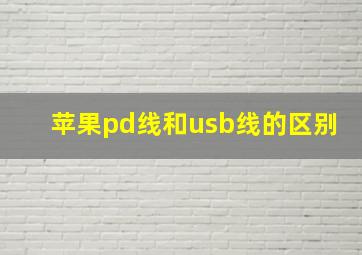 苹果pd线和usb线的区别