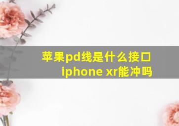 苹果pd线是什么接口 iphone xr能冲吗