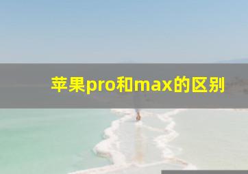 苹果pro和max的区别