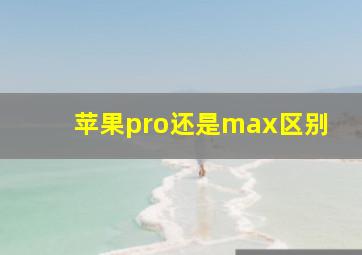 苹果pro还是max区别