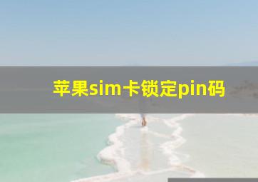 苹果sim卡锁定pin码