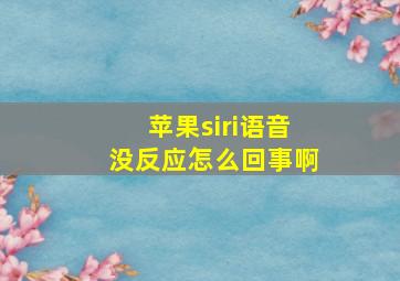 苹果siri语音没反应怎么回事啊