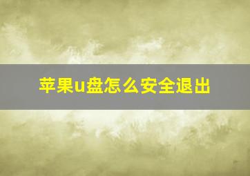 苹果u盘怎么安全退出