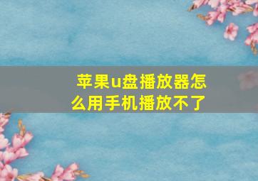 苹果u盘播放器怎么用手机播放不了