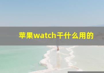 苹果watch干什么用的