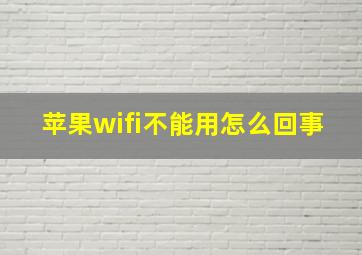 苹果wifi不能用怎么回事