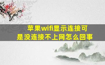 苹果wifi显示连接可是没连接不上网怎么回事