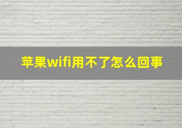 苹果wifi用不了怎么回事