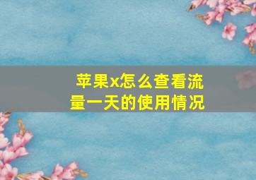 苹果x怎么查看流量一天的使用情况