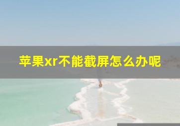 苹果xr不能截屏怎么办呢