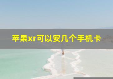 苹果xr可以安几个手机卡