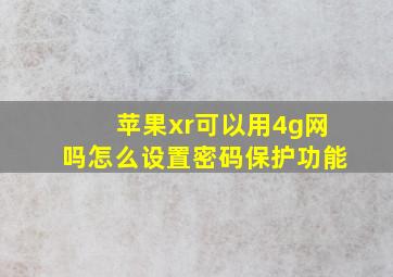 苹果xr可以用4g网吗怎么设置密码保护功能