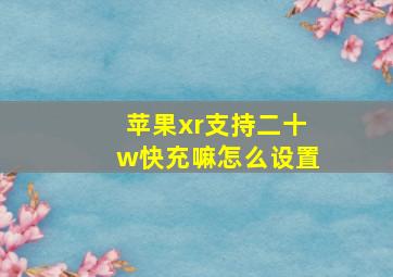 苹果xr支持二十w快充嘛怎么设置