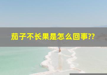 茄子不长果是怎么回事??