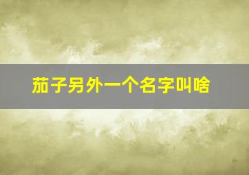 茄子另外一个名字叫啥